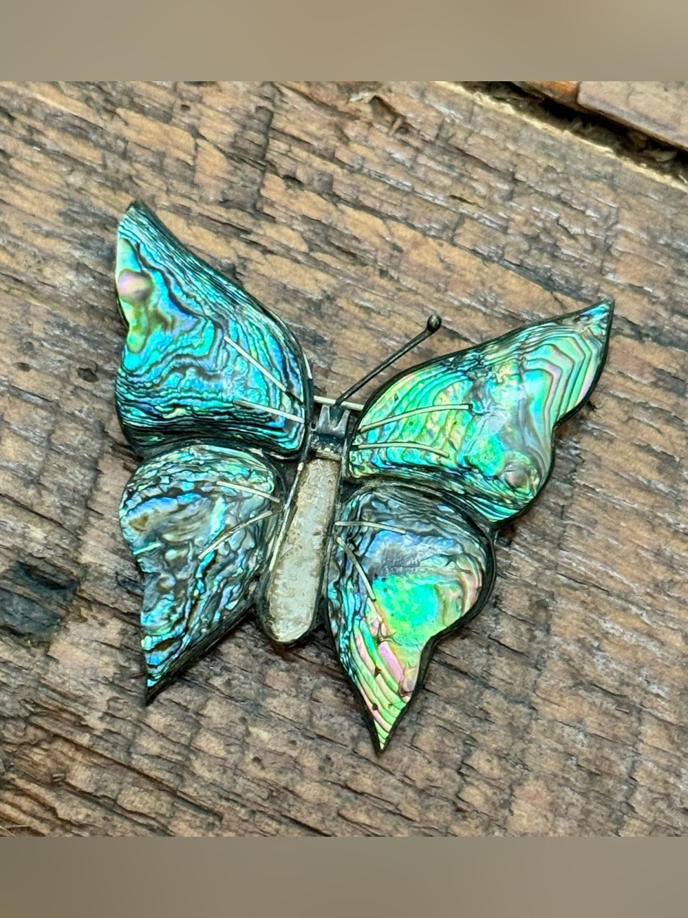 Abalone Butterfly Pin